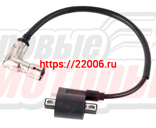 Катушка зажигания со свечным колпачком 166FMM (CB250) TTR250Rb