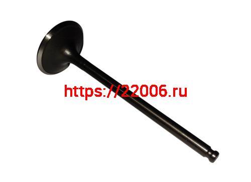 Клапан впускной CB300RL ZS175FMN (100134048)