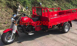 Трицикл грузовой AGIAX 3 (АЯКС-035) 250/350 куб.см, ВОДЯН.ОХЛ, кузов 2м. Трицикл грузовой AGIAX 3 (АЯКС-035) 250/350 куб.см, ВОДЯН.ОХЛ, кузов 2м.