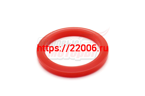 Кольцо фрикционное (полиуретан) на диск диаметром 98мм (снегоуборщик Forza 6,5л.с.) Кольцо фрикционное (полиуретан) на диск диаметром 98мм (снегоуборщик Forza 6,5л.с.)