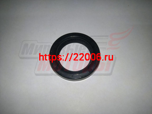 Сальник КПП первичного вала Tiggo (QR523-1701413) Сальник КПП первичного вала Tiggo (QR523-1701413)