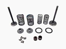 Ремкомплект головки YX140 (пружины, тарелки, сухари, клапана, маслосъемные колпачки)