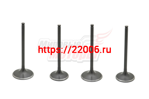 Клапаны (впуск/выпуск) 194MQ (NC450)