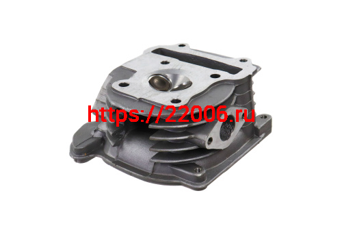 Головка цилиндра 4х такт. дв.139QMB (44 мм) в сборе с клапанами Головка цилиндра 4х такт. дв.139QMB (44 мм) в сборе с клапанами