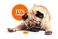 -10% на зоотовары акция в Ирбите компании Инженер выгодно