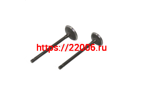 Клапаны (впуск/выпуск) 165FMM, 166FMM (d27/31,5 L90/91)