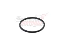 Кольцо уплотнительное CHAMPION BC9713 ведущего вала привода цепи 43,5х2,6 (111020710001)