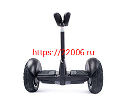 Сигвэй 10.0 дюймов (черный) Сигвэй 10.0 дюймов (черный)