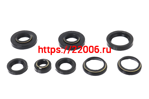 Набор сальников Пл Россия (завод) фото 2
