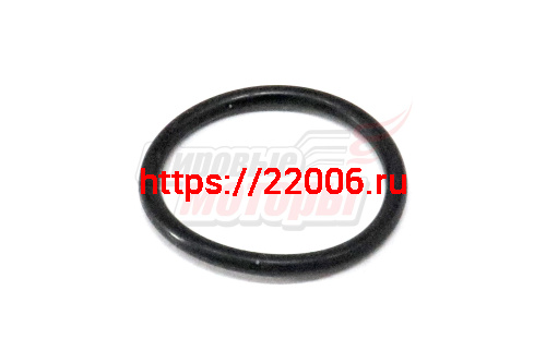 Прокладка водяного насоса Otaka (E050000301) Прокладка водяного насоса Otaka (E050000301)