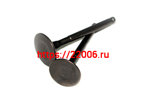 Клапана головки 158QMJ Stels/Keeway 150сc 21.5мм/ 24мм Клапана головки 158QMJ Stels/Keeway 150сc 21.5мм/ 24мм