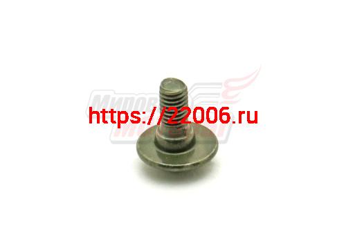 Винт крепления облицовки с увеличенной прессшайбой M5*12 Storm Indigo Винт крепления облицовки с увеличенной прессшайбой M5*12 Storm Indigo