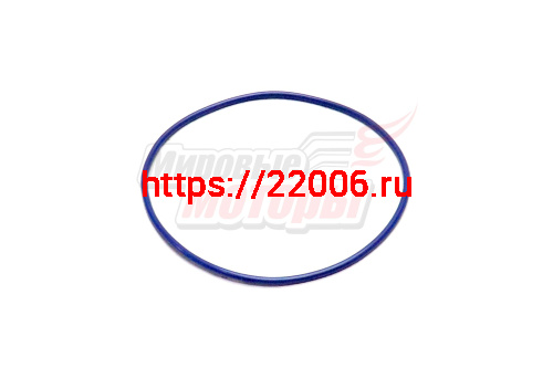 Кольцо уплотнительное под гильзу WP7, МАЗ 5340 (1000345339) Кольцо уплотнительное под гильзу WP7, МАЗ 5340 (1000345339)