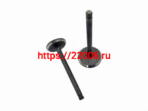 Клапана ГБЦ YX140 (2шт d27.5 + d23) Клапана ГБЦ YX140 (2шт d27.5 + d23)