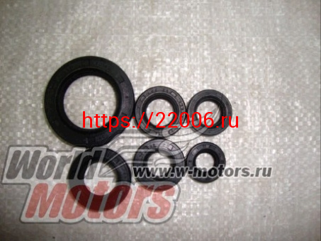 Набор сальников 167FMM (250cc) Набор сальников 167FMM (250cc)