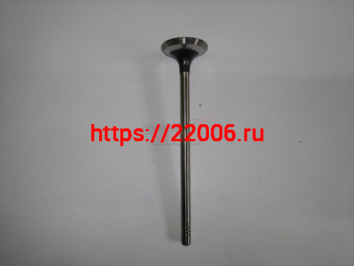 Клапан впускной CS35 (H150061000) Клапан впускной CS35 (H150061000)