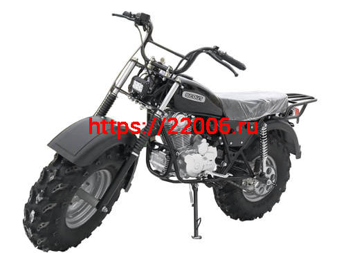 Мотоцикл внедорожный СКАУТ-3VR-250 колеса 10" фото 2