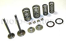 Ремкомплект головки 139FMB 70/110сс (пружина, тарелки, сухари, клапана, масл.колпачки)