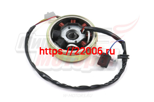 Зажигание в сборе с маховиком FT50QT-4, 4А, 10, (генератор) (8 катушек) фото 2