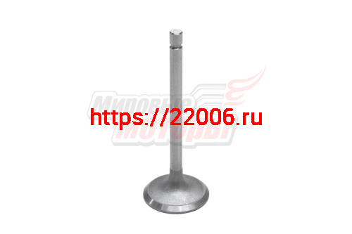 Клапан впускной 1шт BAW 1044 E3, 1065 E2/3, CA4D32-09, CA4DC2 FAW 1041, 1051 Eвро-2,3 (1007011X2) Клапан впускной 1шт BAW 1044 E3, 1065 E2/3, CA4D32-09, CA4DC2 FAW 1041, 1051 Eвро-2,3 (1007011X2)