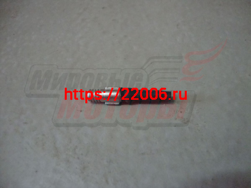 Золотник камеры вело (с резинкой)